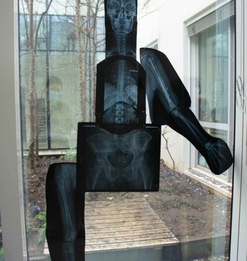 Retour sur… nos journées portes ouvertes