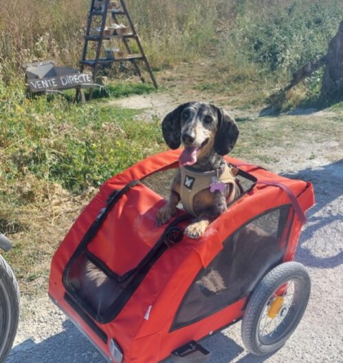 Mai à vélo 2026